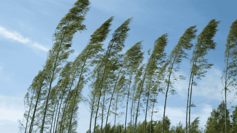 Verdachtsfälle von Kindeswohlgefährdung