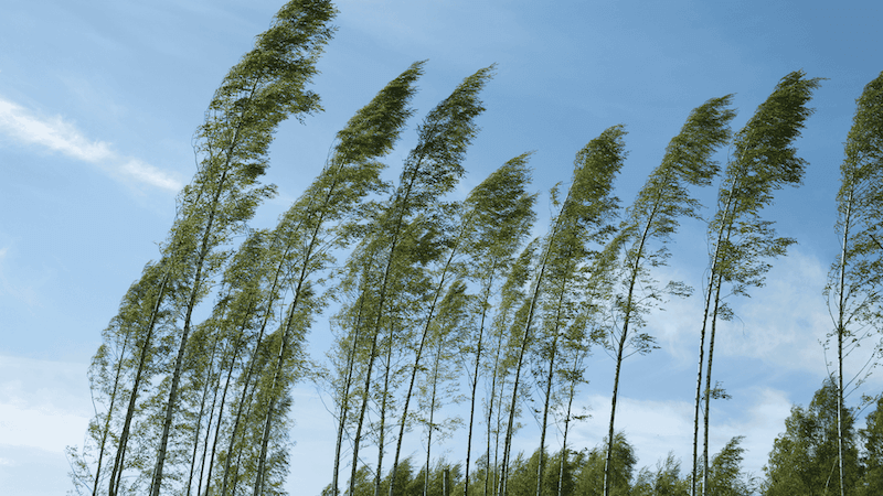 Verdachtsfälle von Kindeswohlgefährdung